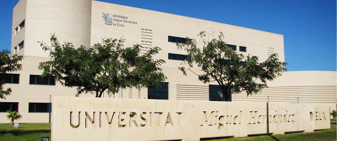 Universidad Miguel Hernández