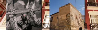 Agenda setmanal del 19 al 25 d’abril de 2021