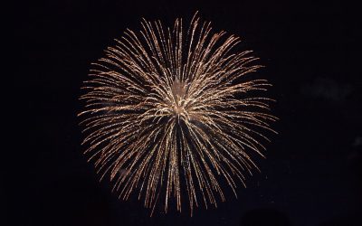 Expertos y representantes analizan el futuro de las fiestas religiosas de la provincia en el Instituto Gil-Albert